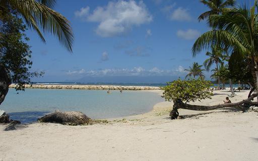 Le Grand Large Plage Sainte-Anne  Exterior photo
